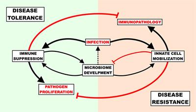 Outgrowing the Immaturity Myth: The Cost of Defending From Neonatal Infectious Disease